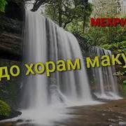 Махмадали Умар Умрам Мерасад Ба Пири Хорам Макун