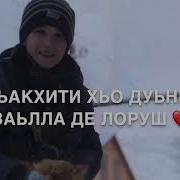 Дала Декъал Войл Хьо Жим К1Ант