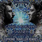 Shaneh Euphonic Traveller Remix Instrumental