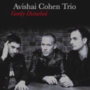 Avishai Cohen Eleven Wives Cover