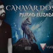 Murat Elizade