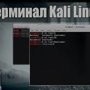 Terminal В Kali Linux Как Пользоваться Путь Хакера Undermind