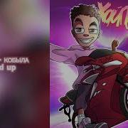 Кобыла Speed Up