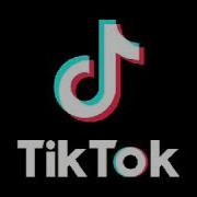 Dj Tik Tok Linkin Park Numb Remix Viral