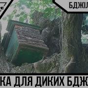 Ловушка Для Бджіл Як Зловити Дикі Бджоли