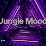 Jungle Mood Peyruis No Copyright Music