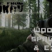 Woods Spawns Und Ausgang Escape From Tarkov