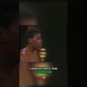 Knockout A