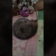У Таси Хорошее Настроение