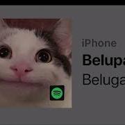 Belupactio