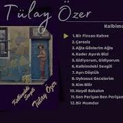 Tülay Özer Bir Fincan Kahve Olsam 1981