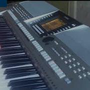 Белые Розы Yamaha Psr