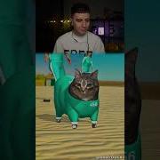 Кот У И А В Игре Кальмара