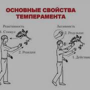 34 Хлеб Стыда Реактивность И Проактивность