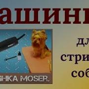 Машинка Для Стрижки Собак Moser В Помощь Грумеру