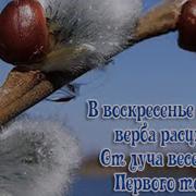 Вербочка Поёт Дашенька Жукова