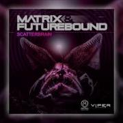 Matrix Futurebound Scatterbrain