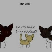 Коты Воители Сила Трех