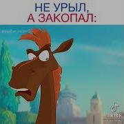 Сам Ты Лошадь Я Говорящий Конь Тоже Мне Пингвин Шамаханский