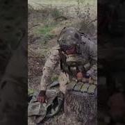 Что В Сумочке У Мейби Бейби