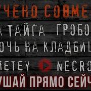 Паша Тайга Страшные Истории