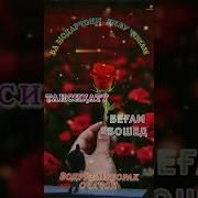 Зодруз Муборак Очачон