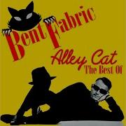 Alley Cat Song