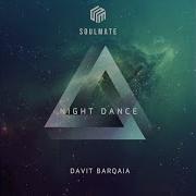 Davit Bargaia Night Dance