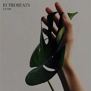 Focus Ectrobeats