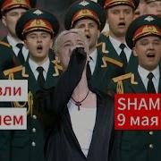 Shaman Журавли