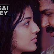 Iragai Pole Naan Mahaan Alla Blu Ray Hd Tamil Song