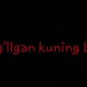 Shaxzod Murodov Tug Ilgan Kuning Bilan
