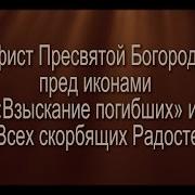 Акафист Пресвятой Богородице Пред Ея Иконами Взыскание Погибших И Всех Скорбящих Радосте