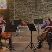 Duo For 2 Cellos In E Major Op 54 No 2 Iii Polonaise