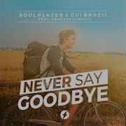 Soul Player Never Say Goodbye Feat Vanessa Correia