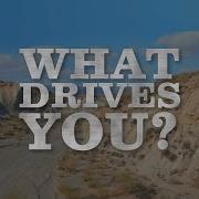 What Drives You