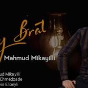 Mahmud Mikayilli Bradyaqa