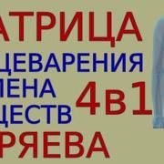 Матрица Пищеварения Обмена Веществ 4В1 Гаряева