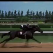 The Black Stallion Final Race