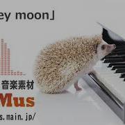 Honey Moon 音楽素材Musmus