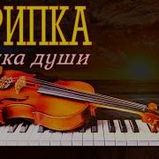 Музыка Без Слов С Участием Скрипкой