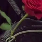 Ма Ша Аллах1 Ма Хаз Нашид Ду Х1Ар