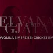 Elvana Gjata Tavolina E Merzise Saix Remix