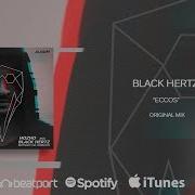 Black Hertz Paradigma Original Mix