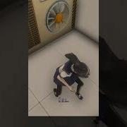 Yandere Simulator Crazy Laugh