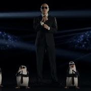 Pitbull Celebrate Penguins Of Madagascar