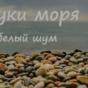 Звуки Морского Прибоя Белый Шум Для Отдыха