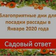 Благоприятные Дни Для Посадки Рассады В Январе 2020 Года