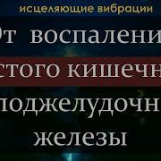 Матрица Гаряева Для Исцеления Поджелудочной Железы