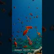 Сергей Грищук Музыка Для Души 2025